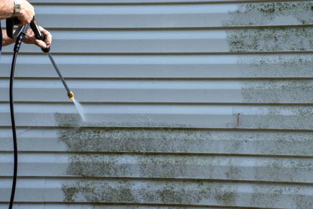 Best Siding Removal and Disposal  in Landis, NC