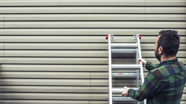 Best Aluminum Siding Installation  in Landis, NC